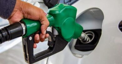 El congelamiento del precio de los combustibles y sus efectos