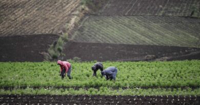 Relator de la ONU expone trabajos forzados en agricultura en Costa Rica