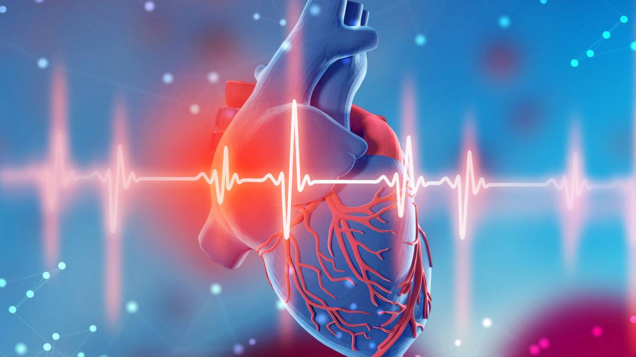 Se me acelera el corazón, ¿qué me pasa Doctor? | La Mesa Redonda